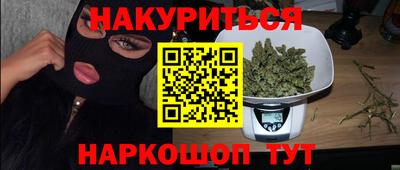 стаф Гай