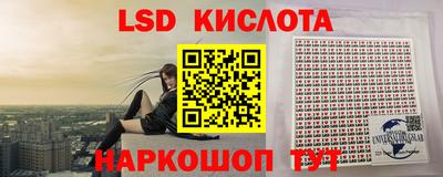 твердый Гатчина