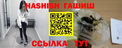 стаф Гай