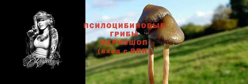 Галлюциногенные грибы MAGIC MUSHROOMS Камень-на-Оби