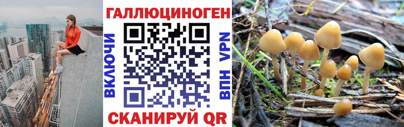 где купить Камень-на-Оби гидра зеркало Галлюциногенные грибы мухоморы