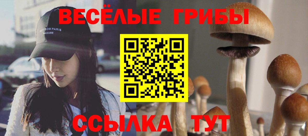 Галлюциногенные грибы Psilocybine cubensis  Галлюциногенные грибы Magic Shrooms  Камень-на-Оби  Вход с VPN 
