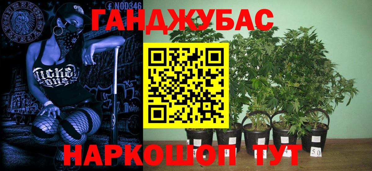 Шишки марихуана индика Камень-на-Оби